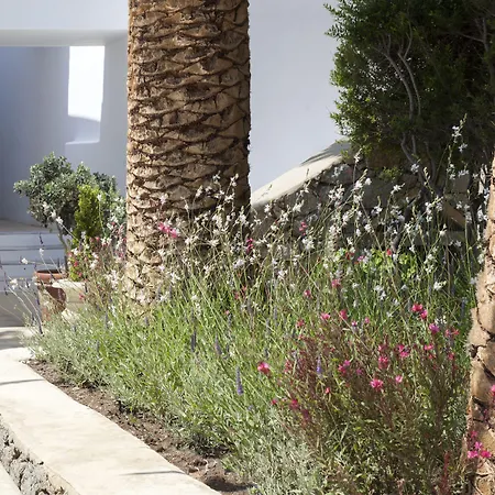 دوريون فندق 4*