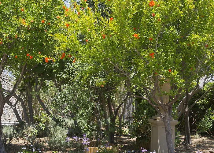 酒店 多里昂酒店 4*