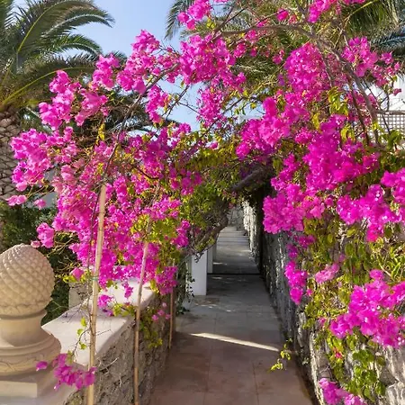 Dorion 4* Ornos (Mykonos)