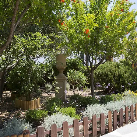 Hotel Dorion Ornos (Mykonos)